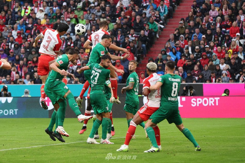 成长的潜力 成长的潜力